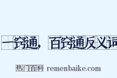 一窍通，百窍通反义词是什么意思的图片